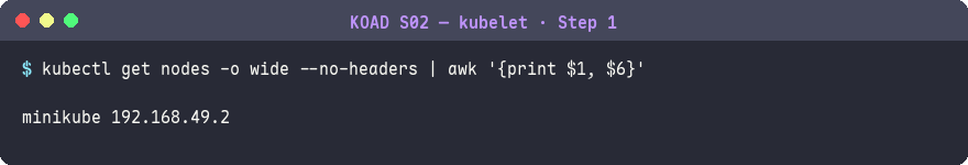取得 Kubernetes Node 的 IP 位址