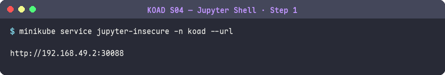 取得未認證 Jupyter Notebook 的 URL