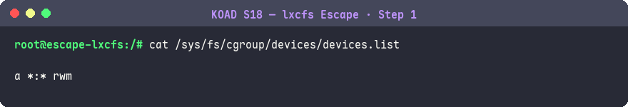進入 Pod 並確認 devices cgroup 允許所有裝置