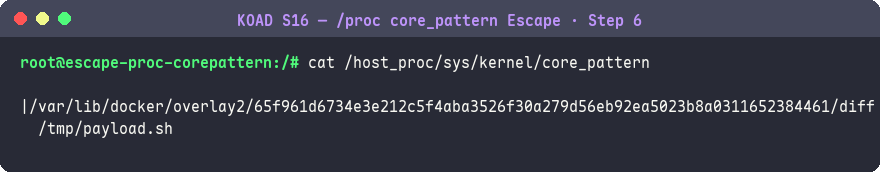 core_pattern 已被修改為 payload 路徑