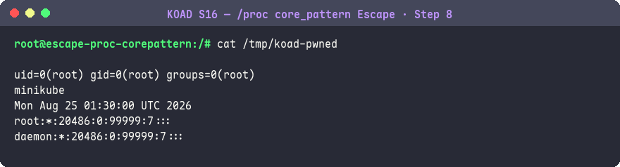 驗證 core_pattern 逃逸結果