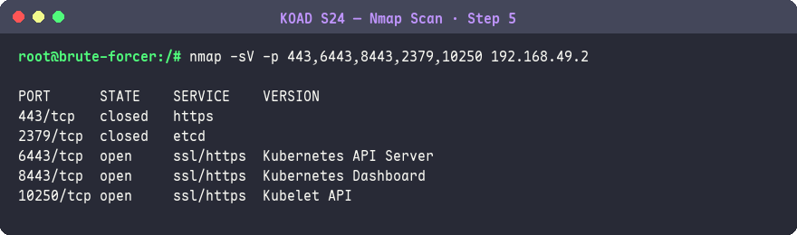 nmap 掃描認證端點